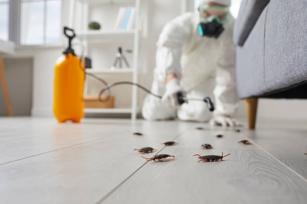 Commercial Kitchen Cockroach Control in Erlanger